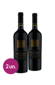 Kit V9 Gran Reserva Single Vineyard D.O.Valle del Maipo Cabernet Sauvignon (2 garrafas)
