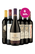 Kit 6 - Tintos Destaque por R$199