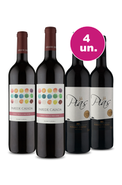 Kit 4 - Portugueses Consagrados e no Precinho - Spoiler Black Wine