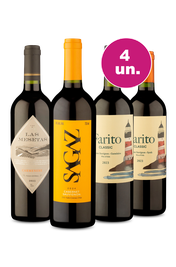 Kit 4 - Chilenos por R$24,90 por Garrafa