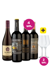 Kit 4 - Tintos Renomados + Par de Taças de Cristal Grátis - Oferta Absurda