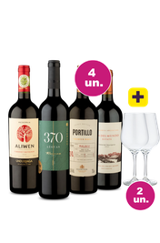 Kit 4 - Tintos Especiais + Par de Taças de Cristal Grátis - Oferta Absurda