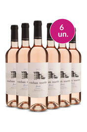 Kit 6 - Esteban Mart&iacute;n Rosado por R$199