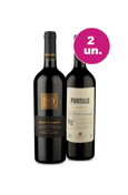 Kit 2 - V9 Gran Reserva e Portiilo - Renomados Sulamericanos