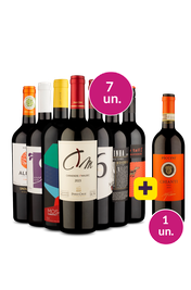 Kit 7 - Tintos no Precinho + Piccini Chianti Gr&aacute;tis - Oferta Absurda