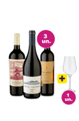 Kit 3 -Vinhos Imperdíveis por R$149 + Taça de Cristal Grátis - Oferta Flash IZ