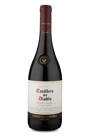 Casillero del Diablo Reserva Pinot Noir 2020