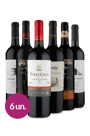 Kit 6 -  Tintos Campeões Wine
