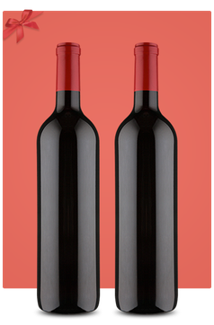 CLUBE GIFT ESPUMANTE - 2 GARRAFAS - 6 MESES