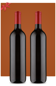 CLUBE GIFT ADVANCED - 2 GARRAFAS - 6 MESES