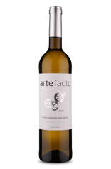 Artefacto Branco 2019