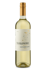 Terranoble Estate D.O. Vale Central Sauvignon Blanc 2019