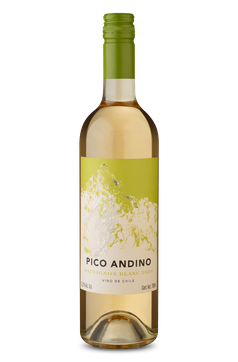 Pico Andino Sauvignon Blanc 2024