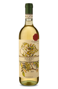 Carpineto Dogajolo I.G.T. Toscano Bianco 2024