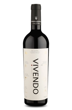 Calyptra Vivendo Reserve Assemblage D.O. Cachapoal Valley 2025