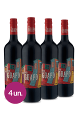 Kit Que Guapo Malbec Blend 2019