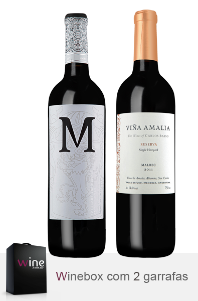 Kit Malbec Argentino