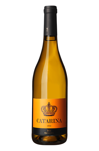 Catarina Branco 2014