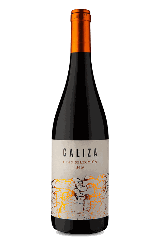 Felix Solís Caliza Gran Selección 2016