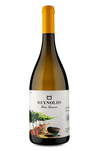 Carlos Reynolds Branco 2017