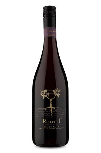 Root: 1 Casablanca Valley Pinot Noir 2017