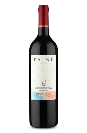 Paine Cabernet Sauvignon Syrah 2020