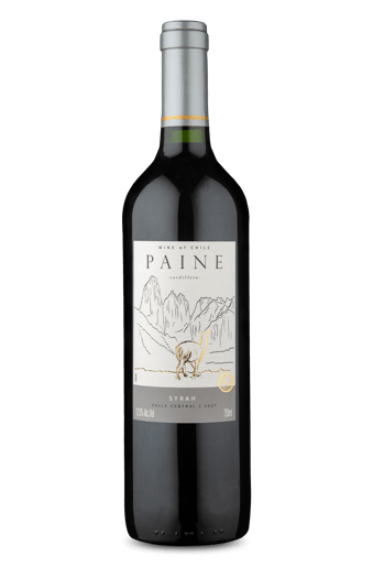 Paine Syrah 2021