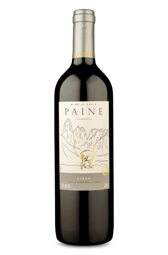 Paine Syrah 2022