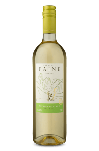 Paine Sauvignon Blanc 2023