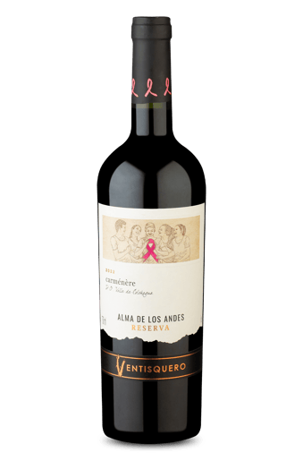 Ventisquero Reserva D.O. Valle de Colchagua Carménère 2022