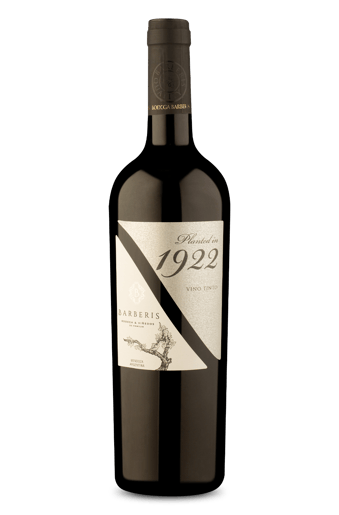 Planted in 1922 Tinto 2024
