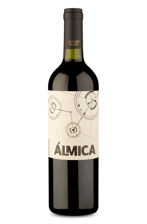 Álmica D.O. Región del Valle Central Malbec 2024