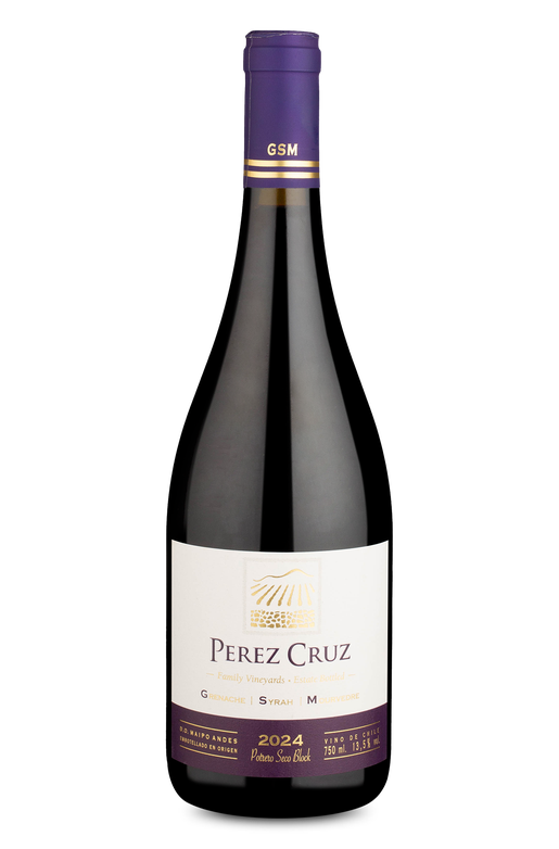 Pérez Cruz GSM D.O. Maipo Andes 2024