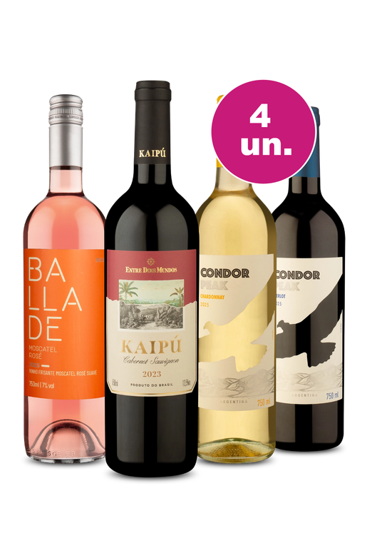 Kit 4 - Os Campeões da América