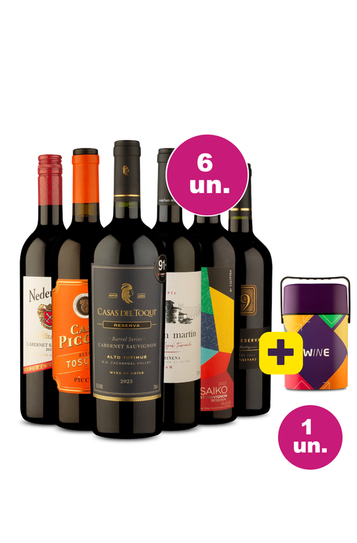 Kit 6 - Queridinhos Tintos + Cooler Retrô Grátis - Exclusivo We