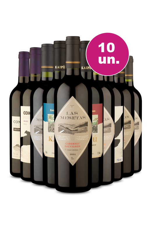 Kit 10 - Vinhos Tintos por R$ 25,90 por garrafa - Exclusivo We