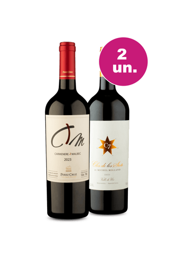 Kit 2 - Pérez Cruz e Clos de Los Siete - Exclusivo