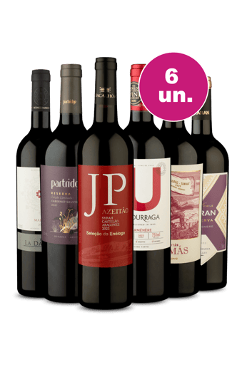 Kit 6 por 249 - Desbravando Novos Sabores