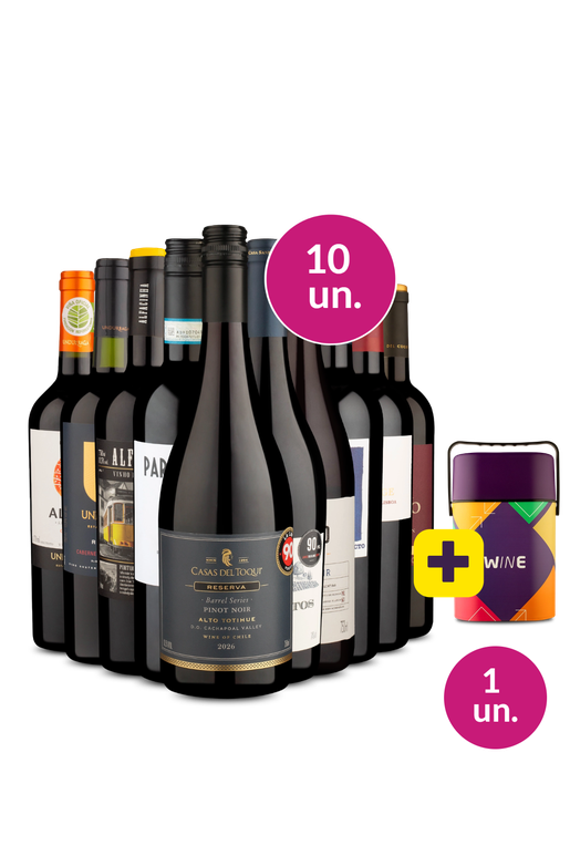 Kit 10 - Tintos Especiais + Cooler Retrô Grátis - Exclusivo We