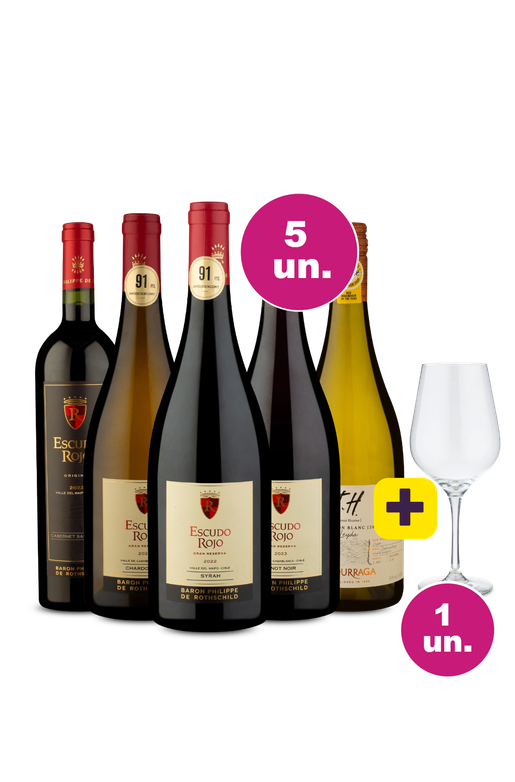 Kit 5 - Eu quero a taça! - Campeões Sulamericanos + Taça de Cristal Grátis