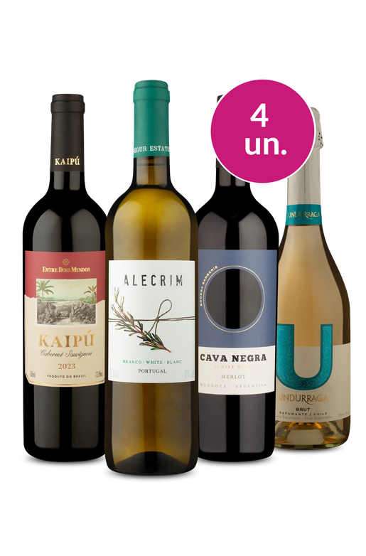 Kit 4 - Fazendo o Meio Campo de Vinhos e Petiscos - Oferta Absurda