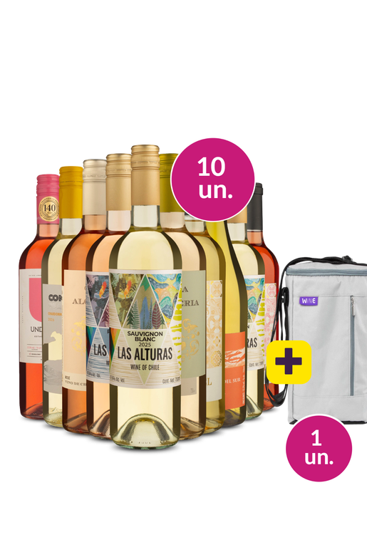 Kit 10 - Refrescantes + Bolsa p/ 3 garrafas Grátis - Exclusivo We