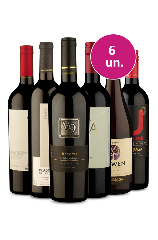 Kit 6 - Tintos para o Happy Hour - Exclusivo We