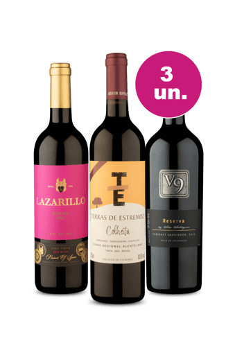 Kit 3 - Volta ao Mundo por R$99