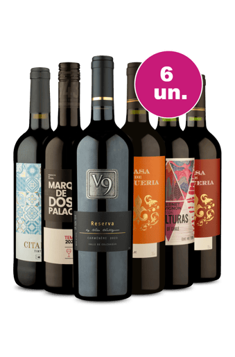 Kit 6 - Tintos Chilenos e Espanhol - R$27,90 por Garrafa