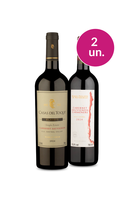 Kit 2 - Tintos do Valle Central - Oferta Absurda IZ