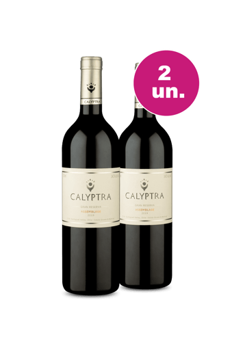 Kit 2 - Calyptra Assemblage Gran Reserva D.O. Cachapoal Valley - Spoiler IZ
