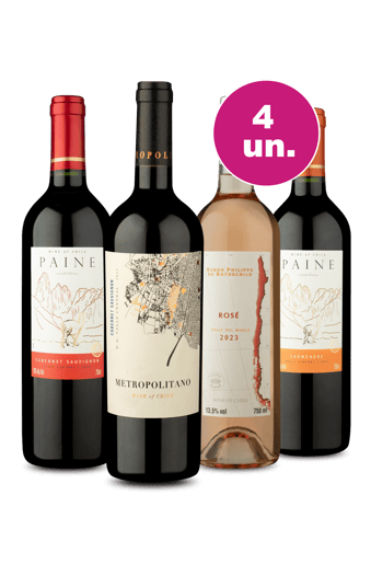 Kit 4 - Chile na Taça