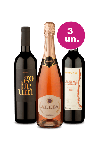 Kit 3 - Vinhos para um Date por R$99