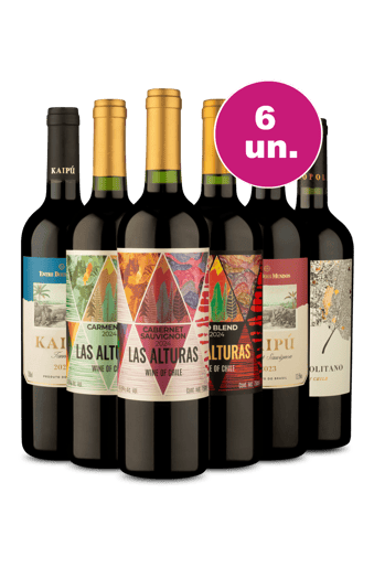 Kit 6 - Tintos no Precinho - Exclusivo We